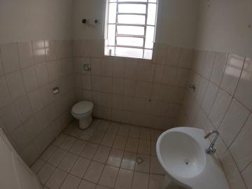 Alugar Comercial / Sala em S&atilde;o Jos&eacute; do Rio Preto R$ 900,00 - Foto 13