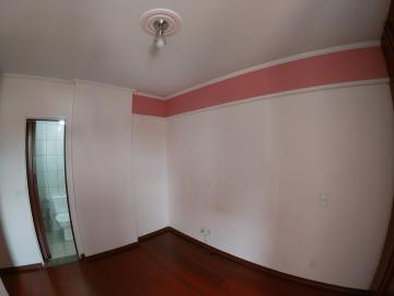 Alugar Apartamento / Padr&atilde;o em S&atilde;o Jos&eacute; do Rio Preto R$ 900,00 - Foto 12