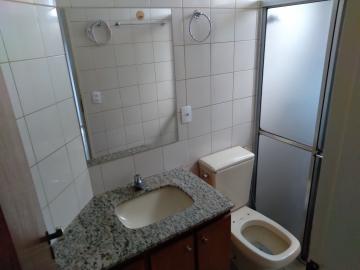 Alugar Apartamento / Padr&atilde;o em S&atilde;o Jos&eacute; do Rio Preto R$ 900,00 - Foto 9