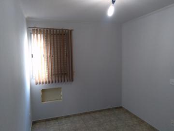 Alugar Apartamento / Padr&atilde;o em S&atilde;o Jos&eacute; do Rio Preto R$ 900,00 - Foto 14