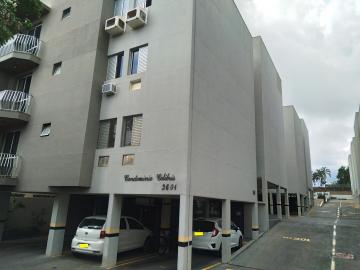Alugar Apartamento / Padr&atilde;o em S&atilde;o Jos&eacute; do Rio Preto R$ 900,00 - Foto 25