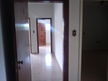 Alugar Casa / Padr&atilde;o em S&atilde;o Jos&eacute; do Rio Preto R$ 2.600,00 - Foto 11