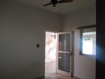 Alugar Casa / Padr&atilde;o em S&atilde;o Jos&eacute; do Rio Preto R$ 2.600,00 - Foto 12