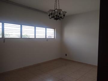 Alugar Casa / Padr&atilde;o em S&atilde;o Jos&eacute; do Rio Preto R$ 2.600,00 - Foto 16