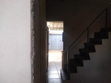 Alugar Casa / Padr&atilde;o em S&atilde;o Jos&eacute; do Rio Preto R$ 2.600,00 - Foto 19