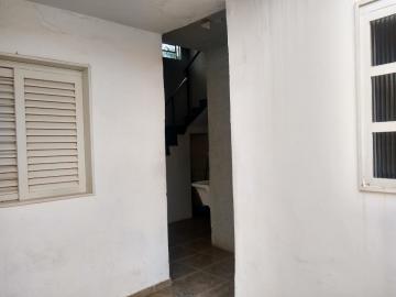 Alugar Casa / Padr&atilde;o em S&atilde;o Jos&eacute; do Rio Preto R$ 2.600,00 - Foto 20