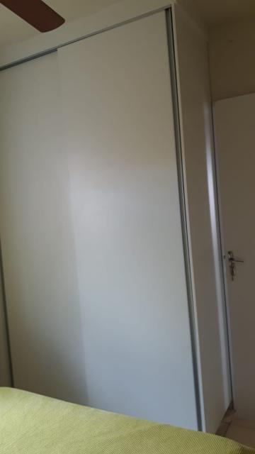 Alugar Casa / Padr&atilde;o em S&atilde;o Jos&eacute; do Rio Preto R$ 850,00 - Foto 9