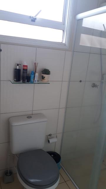 Alugar Casa / Padr&atilde;o em S&atilde;o Jos&eacute; do Rio Preto R$ 850,00 - Foto 8