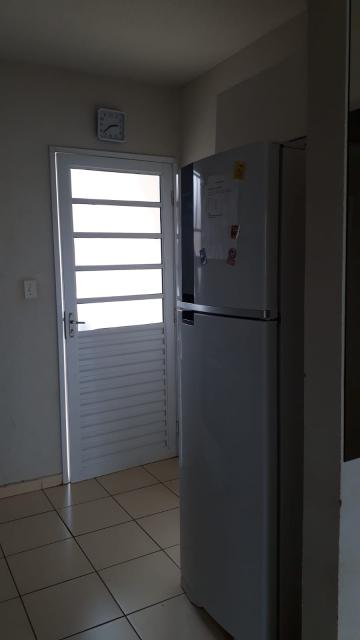 Alugar Casa / Padr&atilde;o em S&atilde;o Jos&eacute; do Rio Preto. apenas R$ 850,00