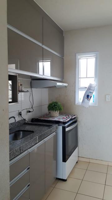 Alugar Casa / Padr&atilde;o em S&atilde;o Jos&eacute; do Rio Preto R$ 850,00 - Foto 3