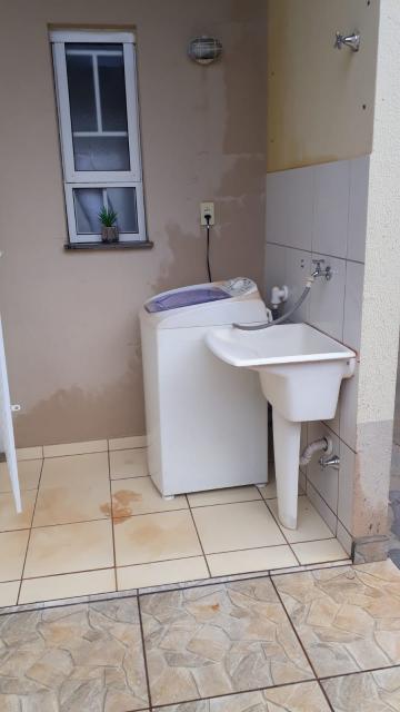 Alugar Casa / Padr&atilde;o em S&atilde;o Jos&eacute; do Rio Preto R$ 850,00 - Foto 10