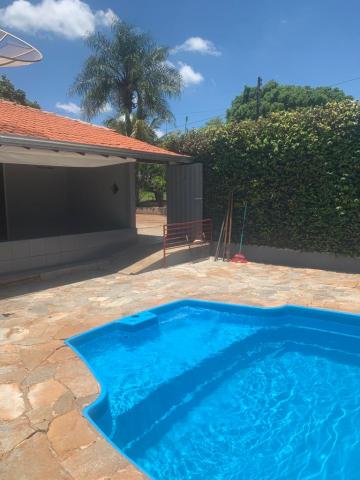 Comprar Rural / Ch&aacute;cara em Uchoa R$ 410.000,00 - Foto 3