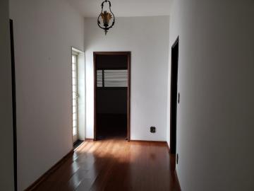 Alugar Casa / Padr&atilde;o em S&atilde;o Jos&eacute; do Rio Preto R$ 4.200,00 - Foto 11