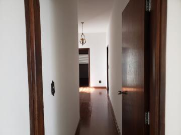 Alugar Casa / Padr&atilde;o em S&atilde;o Jos&eacute; do Rio Preto R$ 4.200,00 - Foto 10