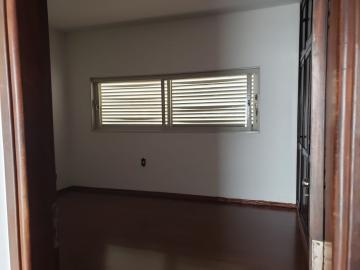 Alugar Casa / Padr&atilde;o em S&atilde;o Jos&eacute; do Rio Preto R$ 4.200,00 - Foto 15