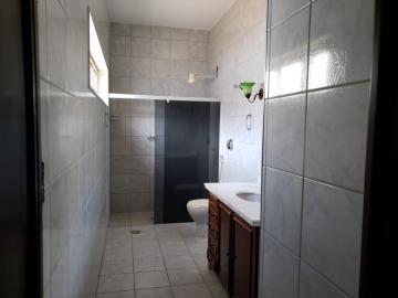 Alugar Casa / Padr&atilde;o em S&atilde;o Jos&eacute; do Rio Preto R$ 4.200,00 - Foto 19
