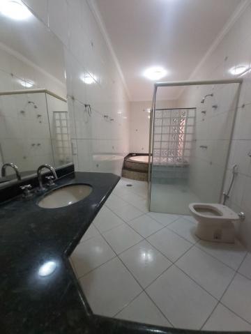 Alugar Casa / Padr&atilde;o em S&atilde;o Jos&eacute; do Rio Preto R$ 3.200,00 - Foto 8