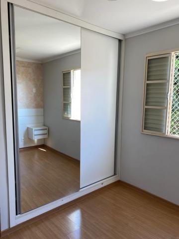 Alugar Apartamento / Padr&atilde;o em S&atilde;o Jos&eacute; do Rio Preto R$ 1.550,00 - Foto 22