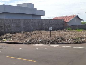 Terreno / Padr&atilde;o em S&atilde;o Jos&eacute; do Rio Preto 