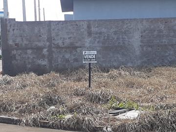 Comprar Terreno / Padr&atilde;o em S&atilde;o Jos&eacute; do Rio Preto R$ 100.000,00 - Foto 3