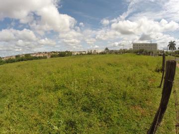 Comprar Terreno / &Aacute;rea em S&atilde;o Jos&eacute; do Rio Preto R$ 7.607.000,00 - Foto 3