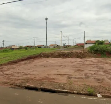 Terreno / Padr&atilde;o em S&atilde;o Jos&eacute; do Rio Preto 