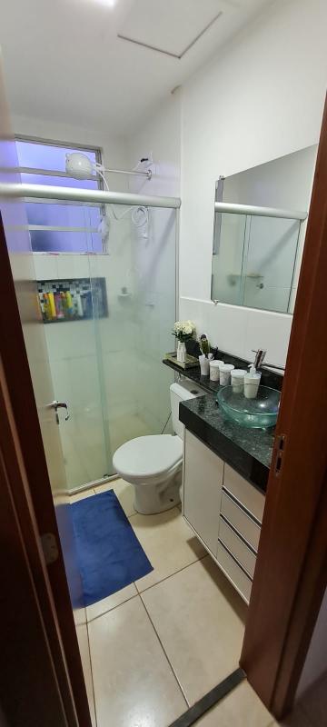 Alugar Apartamento / Padr&atilde;o em S&atilde;o Jos&eacute; do Rio Preto R$ 800,00 - Foto 6