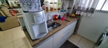 Alugar Apartamento / Padr&atilde;o em S&atilde;o Jos&eacute; do Rio Preto R$ 800,00 - Foto 7