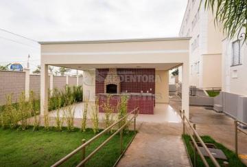 Alugar Apartamento / Padr&atilde;o em S&atilde;o Jos&eacute; do Rio Preto R$ 800,00 - Foto 14