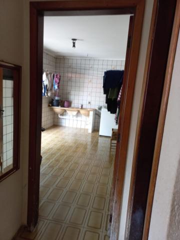Comprar Casa / Padr&atilde;o em S&atilde;o Jos&eacute; do Rio Preto R$ 450.000,00 - Foto 7