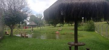 Alugar Rural / Ch&aacute;cara em Ruil&acirc;ndia R$ 3.500,00 - Foto 32
