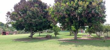 Alugar Rural / Ch&aacute;cara em Ruil&acirc;ndia R$ 3.500,00 - Foto 4