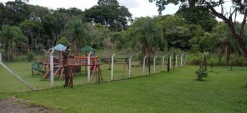 Alugar Rural / Ch&aacute;cara em Ruil&acirc;ndia R$ 3.500,00 - Foto 9