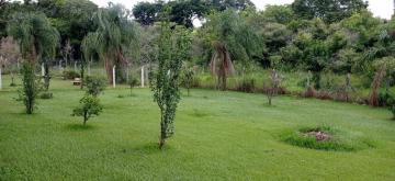 Alugar Rural / Ch&aacute;cara em Ruil&acirc;ndia R$ 3.500,00 - Foto 11