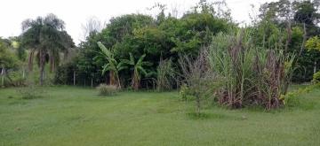 Alugar Rural / Ch&aacute;cara em Ruil&acirc;ndia R$ 3.500,00 - Foto 12