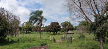Alugar Rural / Ch&aacute;cara em Ruil&acirc;ndia R$ 3.500,00 - Foto 13