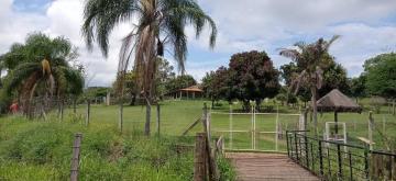Alugar Rural / Ch&aacute;cara em Ruil&acirc;ndia R$ 3.500,00 - Foto 14