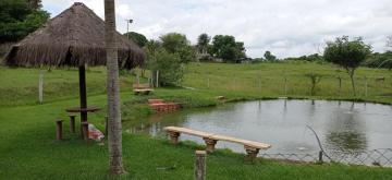 Alugar Rural / Ch&aacute;cara em Ruil&acirc;ndia R$ 3.500,00 - Foto 17