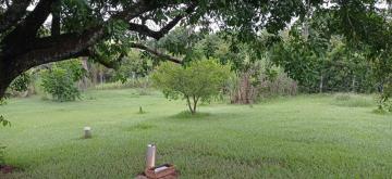 Alugar Rural / Ch&aacute;cara em Ruil&acirc;ndia R$ 3.500,00 - Foto 18