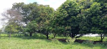 Alugar Rural / Ch&aacute;cara em Ruil&acirc;ndia R$ 3.500,00 - Foto 19