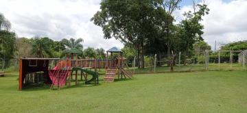 Alugar Rural / Ch&aacute;cara em Ruil&acirc;ndia R$ 3.500,00 - Foto 20