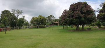 Alugar Rural / Ch&aacute;cara em Ruil&acirc;ndia R$ 3.500,00 - Foto 21
