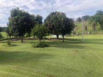 Alugar Rural / Ch&aacute;cara em Ruil&acirc;ndia R$ 3.500,00 - Foto 22