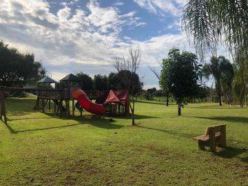 Alugar Rural / Ch&aacute;cara em Ruil&acirc;ndia R$ 3.500,00 - Foto 25