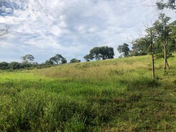 Alugar Rural / Ch&aacute;cara em Ruil&acirc;ndia R$ 3.500,00 - Foto 27