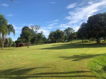Alugar Rural / Ch&aacute;cara em Ruil&acirc;ndia R$ 3.500,00 - Foto 28
