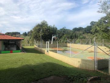 Alugar Rural / Ch&aacute;cara em Ruil&acirc;ndia R$ 3.500,00 - Foto 29