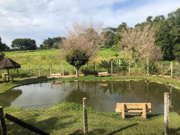 Alugar Rural / Ch&aacute;cara em Ruil&acirc;ndia R$ 3.500,00 - Foto 30