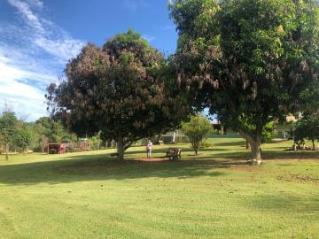 Alugar Rural / Ch&aacute;cara em Ruil&acirc;ndia R$ 3.500,00 - Foto 31