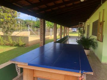 Alugar Rural / Ch&aacute;cara em Ruil&acirc;ndia R$ 3.500,00 - Foto 3